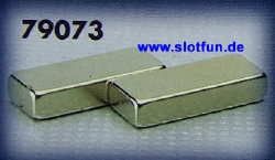 Fly, Magnet (15x6x3mm), 2 Stk.