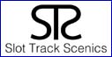 STS
