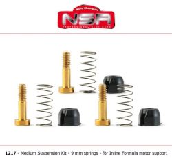 NSR, Formula, Fahrwerks-Federungsset, mittel