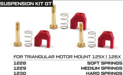 NSR, Fahrwerks-Federungsset 'Triangular' (mittel), 1229