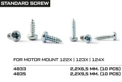 NSR, Schrauben Motorhalter/Karo. (2.2x 6.5mm), 10 Stk., 4833