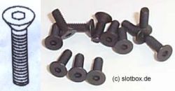 Slotdevil, Senkkopfschraube M2 x 4 mm, 10 Stk.