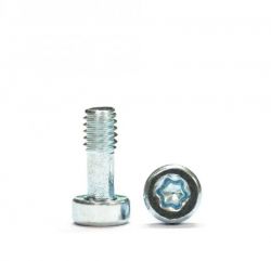 Sloting Plus, Karosserieschrauben M2.1 x 5mm, 20 Stk.